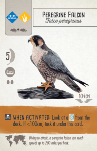 2018-12-02_0829-193x300