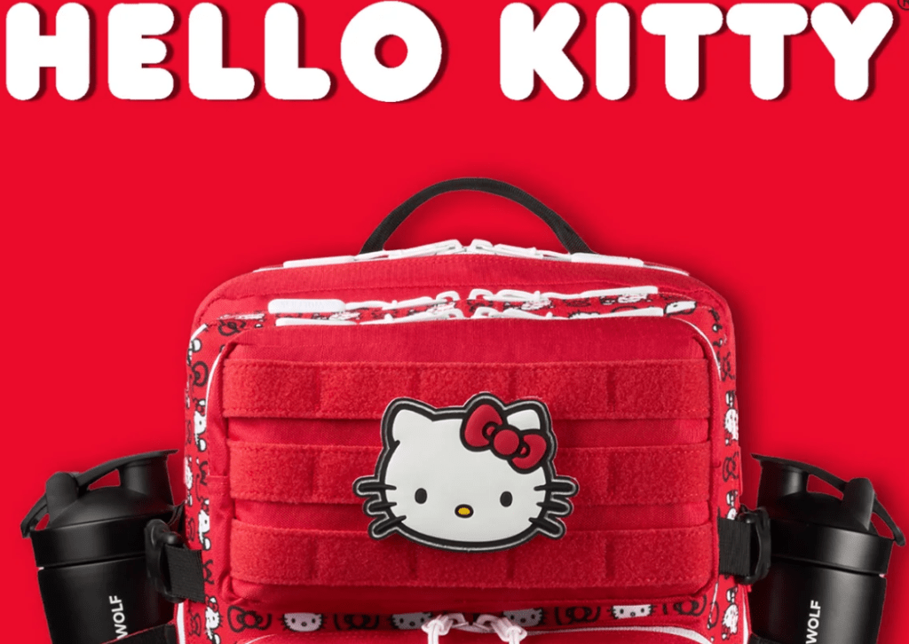 Travel: Traveling In Style with Hello&nbsp;Kitty